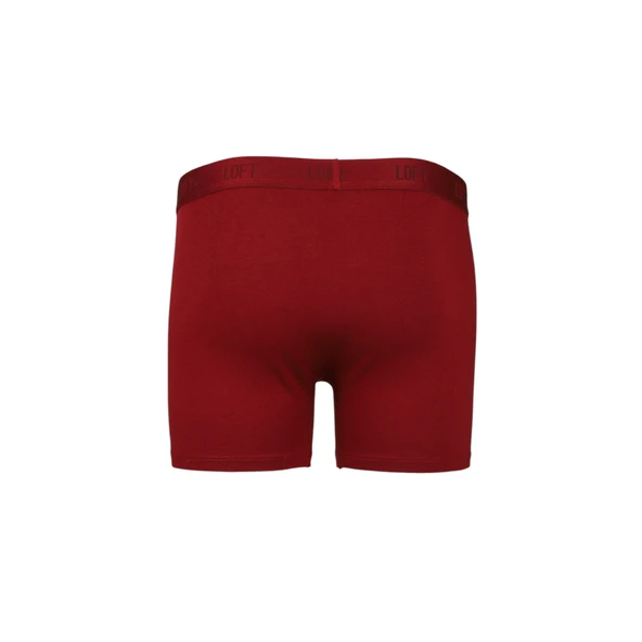 Erkek Boxer - Resim 6