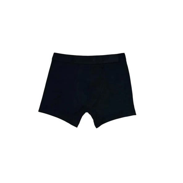 Erkek Boxer - Resim 12