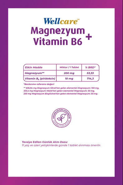 Wellcare Magnezyum + Vitamin B6 60 Tablet - Resim 2