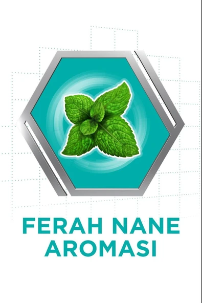 Corega Süper Protez Yapıştırıcı Naneli Krem 40 gr - Resim 2