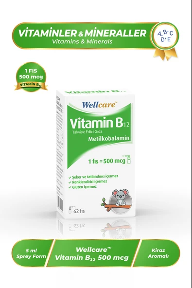 Wellcare Vitamin B12 500 mcg Sprey 5 ml ürün görseli
