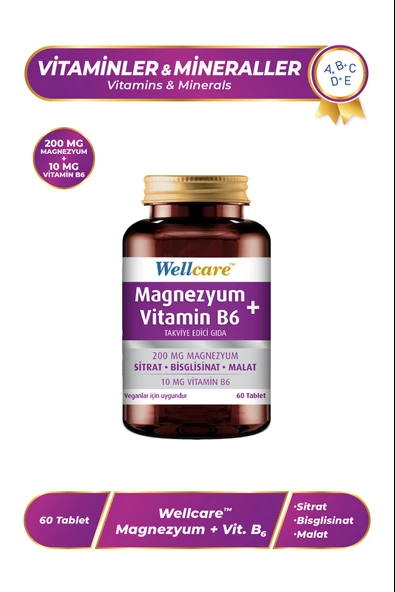 Wellcare Magnezyum + Vitamin B6 60 Tablet ürün görseli