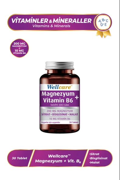 Wellcare Magnezyum + Vitamin B6 30 Tablet ürün görseli