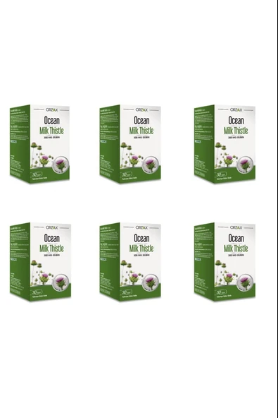 Ocean Milk Thistle 30 Tablet 6 Adet ürün görseli