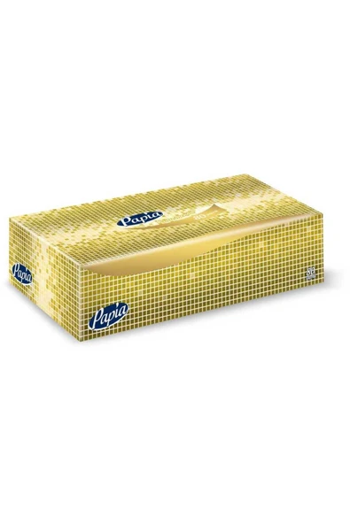 Papia Maxi Kutu Mendil 80 Yaprak x 24 Pkt 5036720 - Resim 3