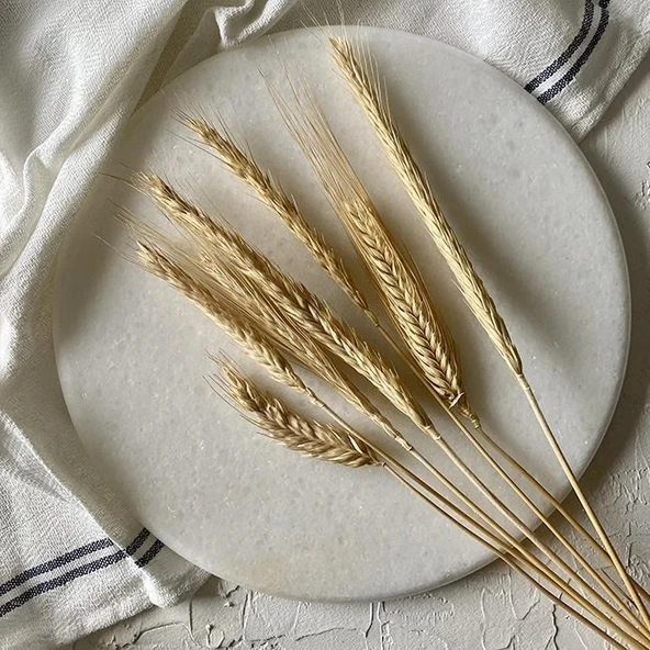 Akayev Mermer 25 Cm Beyaz Yuvarlak Sunum Tabağı - Resim 4