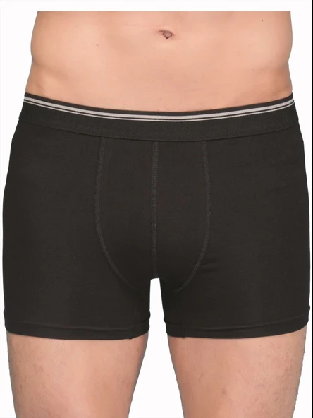 Berrak 1097 Erkek Likralı Boxer - Resim 2