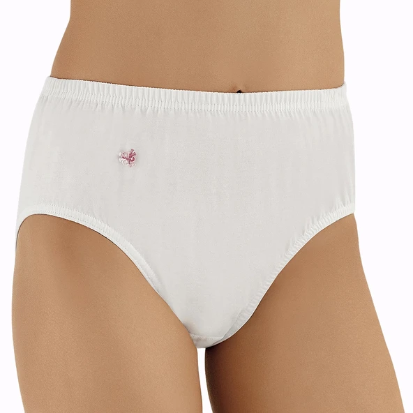 Şahinler MB018 Kadın Çiçekli Kom Külot ürün görseli 1