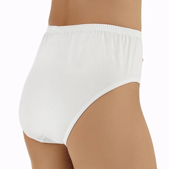 Şahinler MB018 Kadın Çiçekli Kom Külot No:56 (XL) - Resim 2