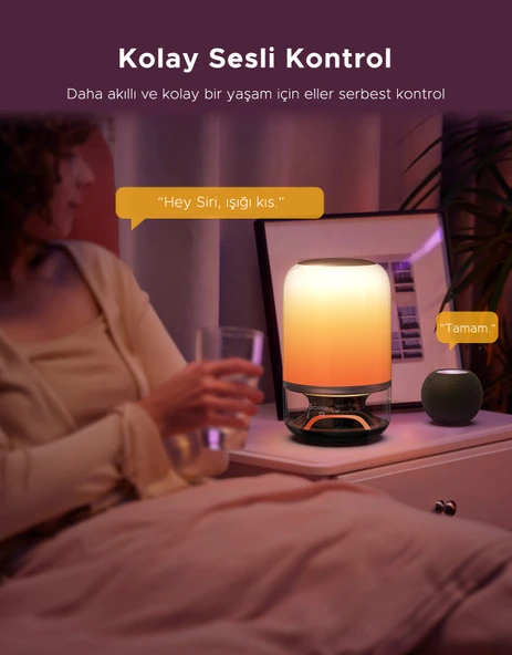 Govee Masa Lambası 2 Pro x JBL Hoparlörlü, Type-C Şarjı, 45' Şarj Adaptörü Dahildir H60200F1 - Resim 11