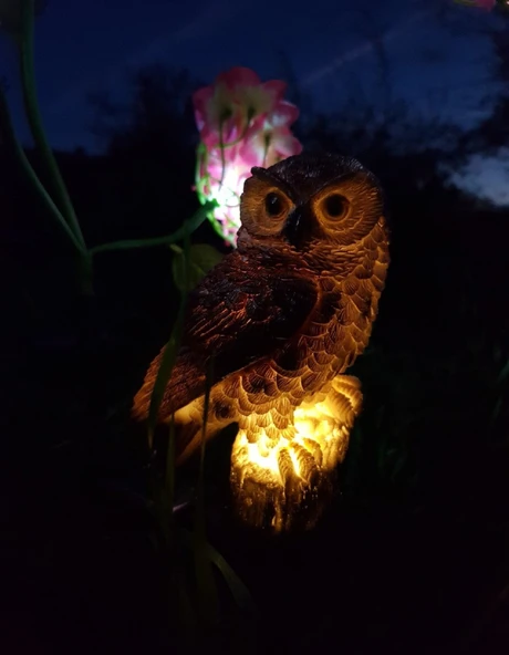Baykuş Solar Güneş Enerjili Led Işık Bahçe Teras Balkon Ağaç Lambası Aydınlatması Su Geçirmez Kahve ürün görseli