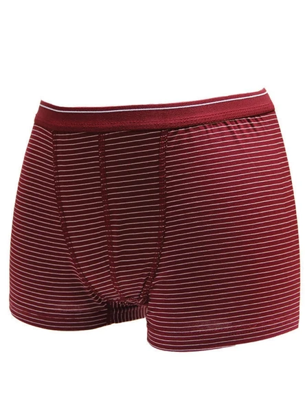 İlke 342 Çocuk Likralı Boxer İkili Paket - Resim 3