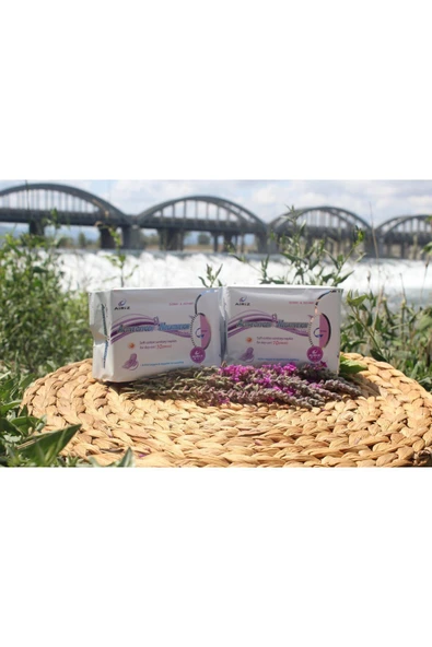 TİENS Airiz Hijyenik Kadın Pedi Gündüz 2 paket (10 ADET NORMAL BOY PED) - Resim 2