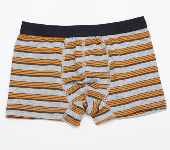 Öztaş 3704 Çocuk Çizgili Likralı Boxer Külot - Resim 2
