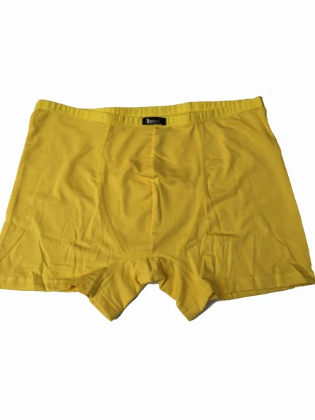 Berrak 4488 Modal Erkek Boxer - Resim 2
