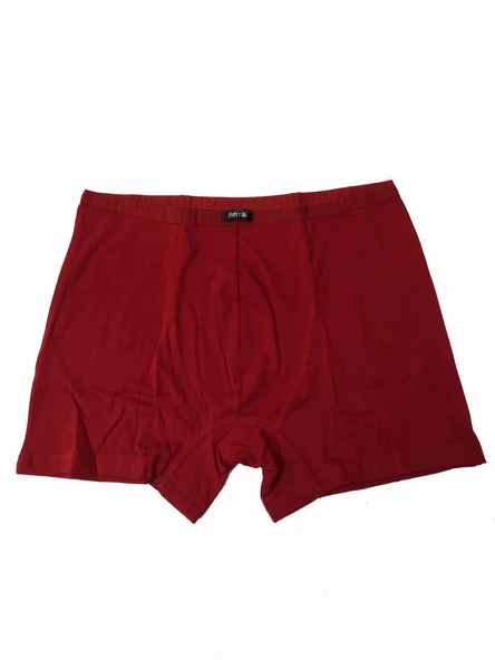 Berrak 4488 Modal Erkek Boxer - Resim 9
