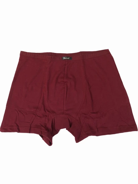 Berrak 4488 Modal Erkek Boxer - Resim 4