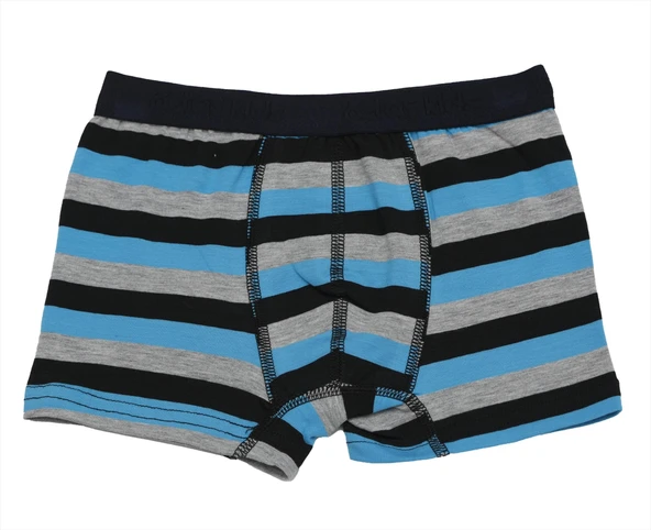 Öztaş 3704 Çocuk Çizgili Likralı Boxer Külot - Resim 5