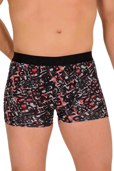 Berrak 4480 (Battal) Likralı Desenli Erkek Boxer - Resim 2