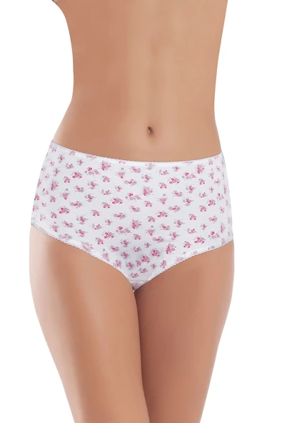 Öztaş 2749 Kadın Likralı Yüksek Bel Külot 4'lü Paket ürün görseli 1