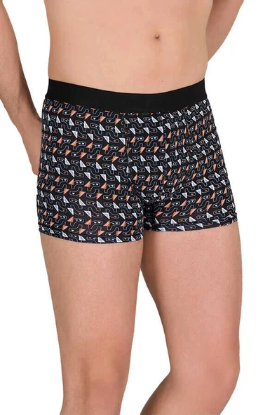 Berrak 4480 Erkek Likralı Desenli Boxer - Resim 5