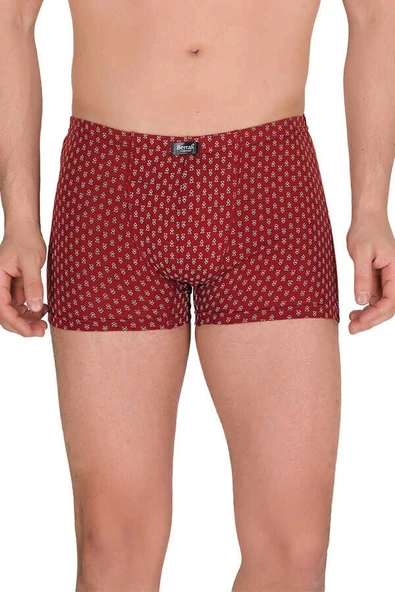 Berrak 4497 Modal Desenli Erkek Boxer - Resim 4