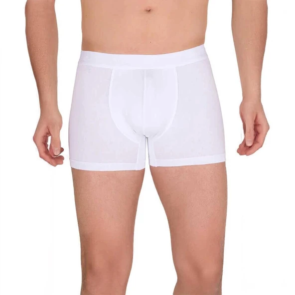 Berrak 4476 Modal Likralı Esnek Erkek Boxer - Resim 3