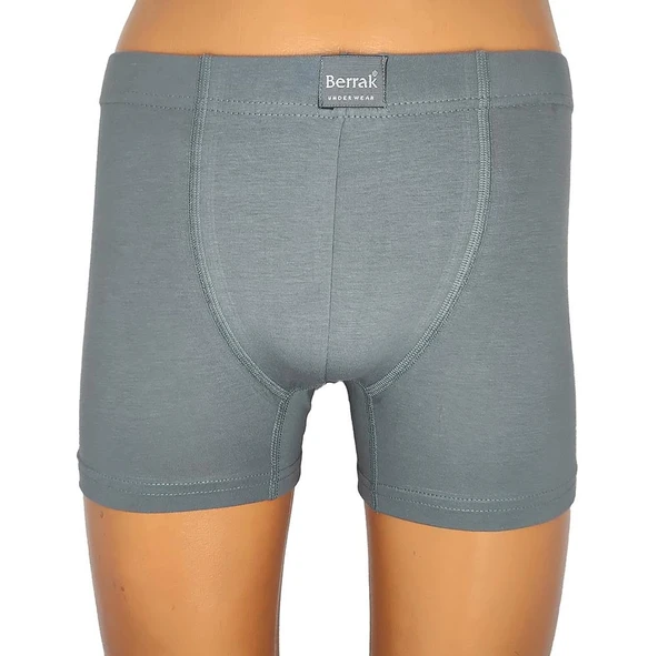 Berrak 4498 Erkek Büyük Beden Renkli Boxer - Resim 7