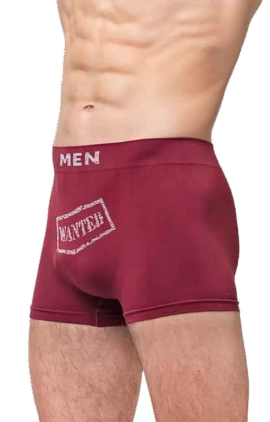 Elite Life 901 E-03 Erkek Desenli Boxer - Resim 3