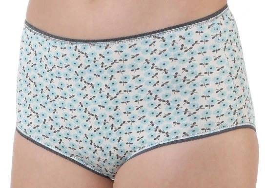 Öztaş 2749 Kadın Likralı Yüksek Bel Külot 4'lü Paket - Resim 2