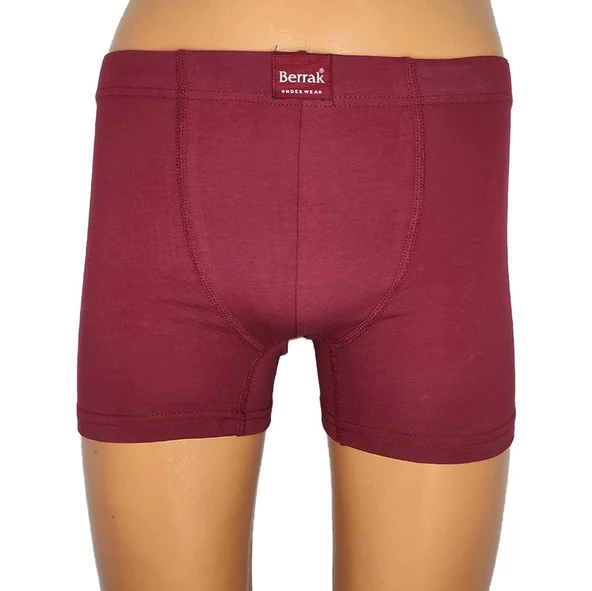 Berrak 4498 Erkek Büyük Beden Renkli Boxer ürün görseli 1