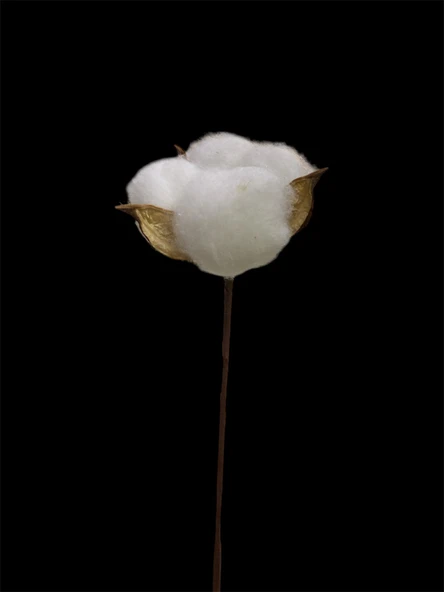 DEKORATİF 10LU PAMUK ÇİÇEK - Resim 3