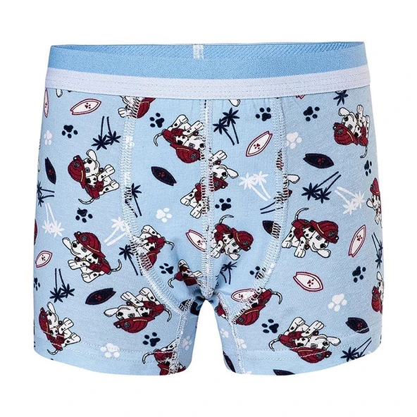 Namaldı 320 Erkek Çocuk Likralı Boxer Junior - Resim 8