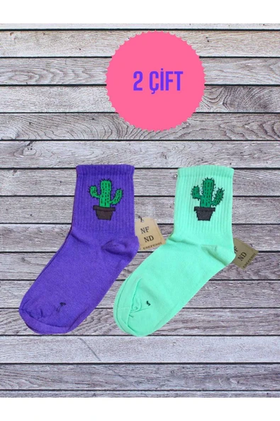 2 ÇİFT KAKTÜS DESENLİ PAMUKLU YUMUŞAK DİKİŞSİZ ÇORAP ARAKONÇ KADIN YEŞİL VE MOR SOKET ÇORABI 36-40 ürün görseli 1