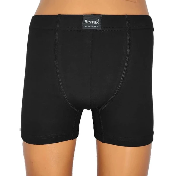 Berrak 4498 Erkek Büyük Beden Renkli Boxer - Resim 5