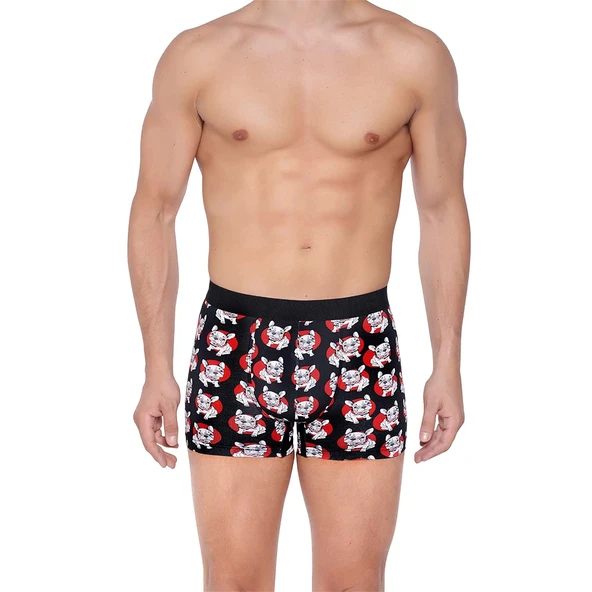 Berrak 4431 Dijital Baskı Erkek Boxer - Resim 7