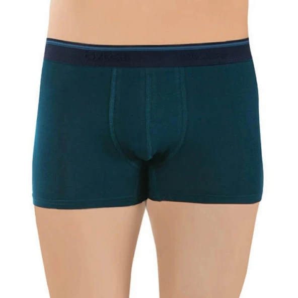 Öztaş 1717 Erkek Lycralı Boxer - Resim 5