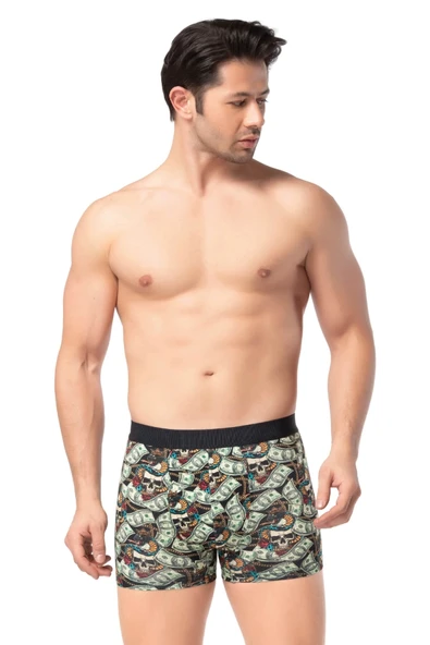 Berrak 4431 Dijital Baskı Erkek Boxer - Resim 5