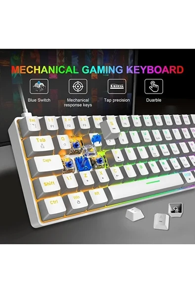 Blue Switch Mini Rgb Oyun Klavyesi Gaming Mekanik 62 Tuşlu 18 Rgb Led Usb Type-c Kablo ürün görseli