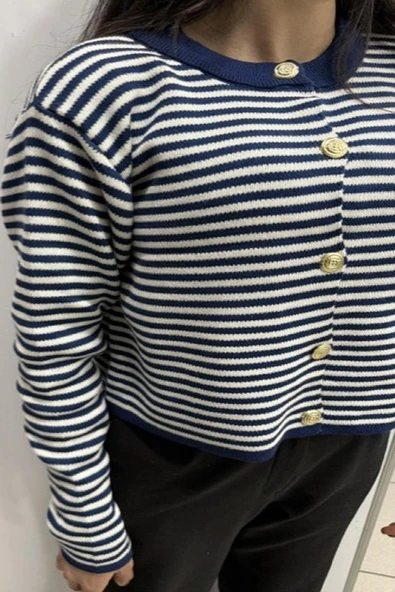 Hipatu İnce Çizgili Altın Düğme Hırka (1780) - Resim 2