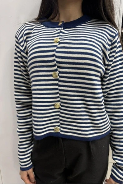 Hipatu İnce Çizgili Altın Düğme Hırka (1780) - Resim 3