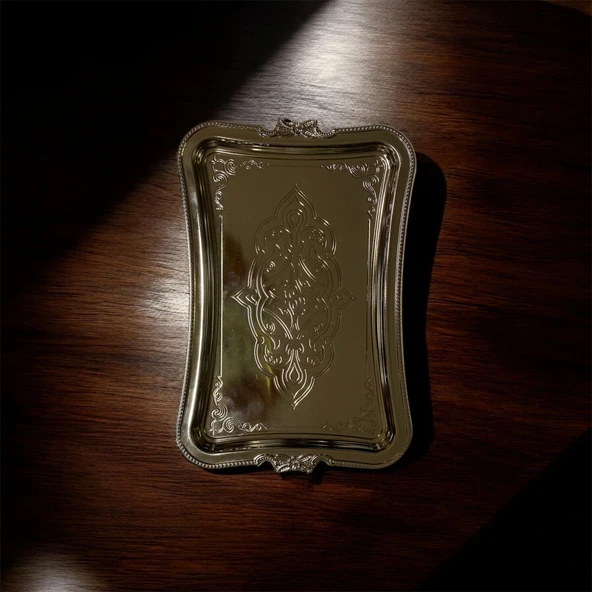 DURU TEK KİŞİLİK TEPSİ GÜMÜŞ 25 X 15 ürün görseli