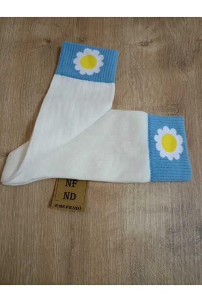 KOKULU SOKET   ÇORABI PAMUKLU PAPATYA DİKİŞSİZ BEYAZ  ÇORAP  36-40 - Resim 2