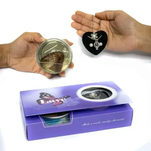 İstridye İçinde İnci Kolye ürün görseli