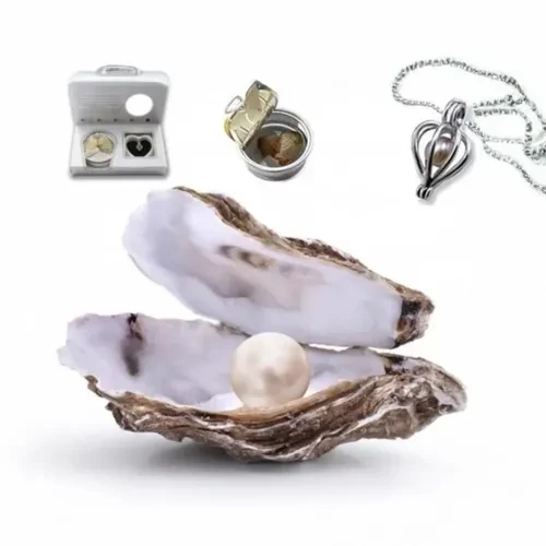 Gerçek İstiridye İçinde İnci Kolye - Resim 4