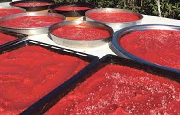 Tatlı Biber Salçası 1 kg + Acı Biber Salçası 1 kg.- İki Lezzet Bir Arada - Resim 5