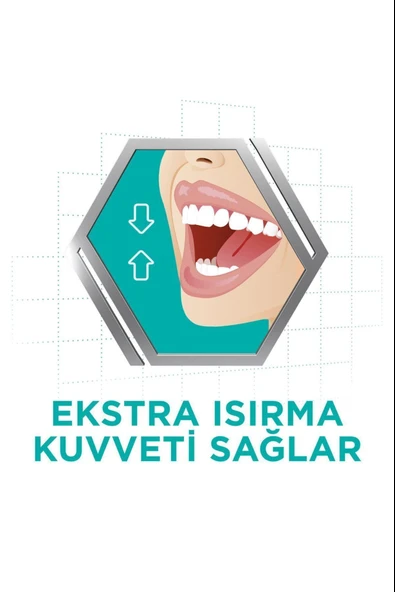 Corega Süper Protez Yapıştırıcı Naneli Krem 40 gr 2 Adet - Resim 4