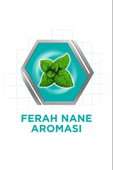 Corega Süper Protez Yapıştırıcı Naneli Krem 40 gr 2 Adet - Resim 5