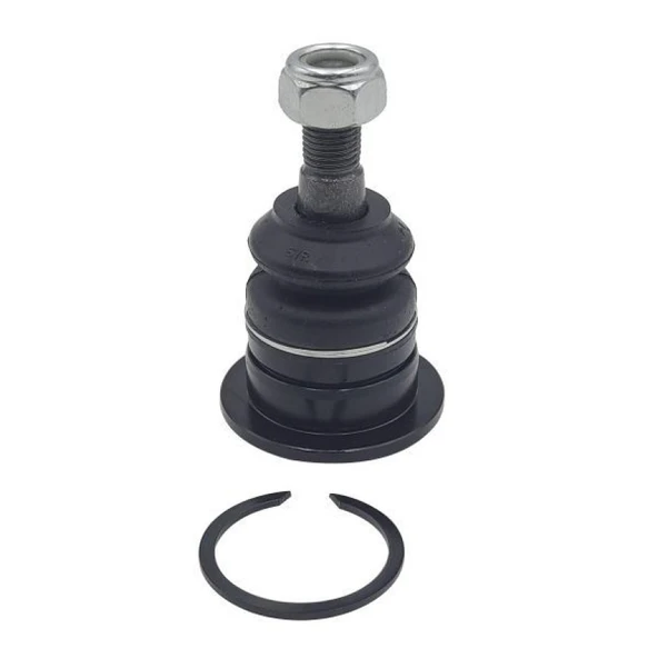 Japon Rotıl Üst - Rotıl Ön Üst - Ctr Cb0406 ürün görseli