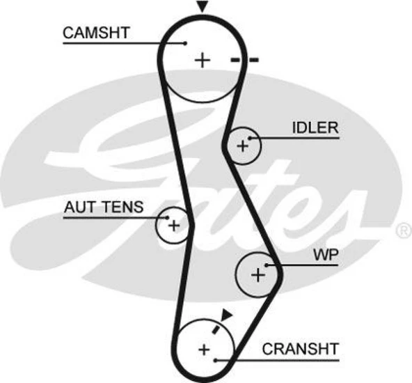 Hyundaı Eksantrık Kayısı (123x280) Accent Getz 1,5crdi 12v 02=> Kia Cerato Sportage 2,0crd Ct1099 - Gates 5579xs ürün görseli